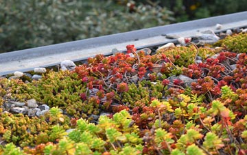 the cost of East Croachy green roof installation