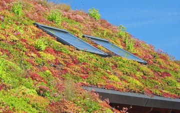 East Croachy living roof systems
