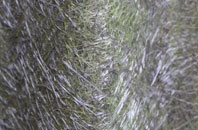 East Croachy fibreglass roof work